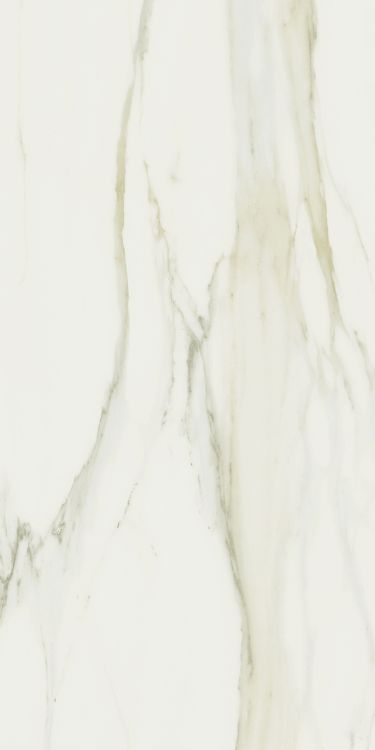 Classici Calacatta Gold Glossy 24 x 48