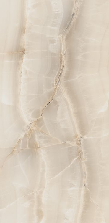 Akoya Ivory Matte 12 x 24