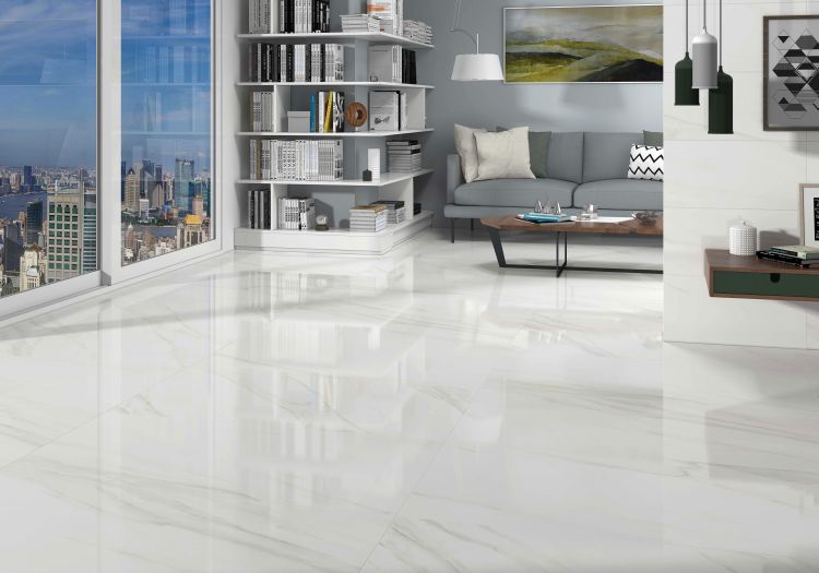 EC Calacatta Gold Polished 48 x 48