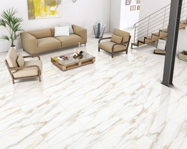 AGL Calacatta Gold Polished 12 x 24