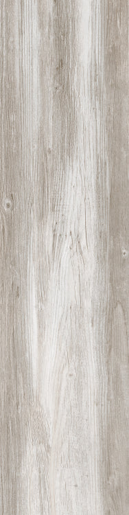 DaVinci 5 12 x 48