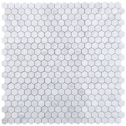 Hexagon Carrara Polished 2 x 2 12 x 12