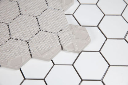 Malaysia Roy White Matte 2 x 2 Hexagon 12 x 12