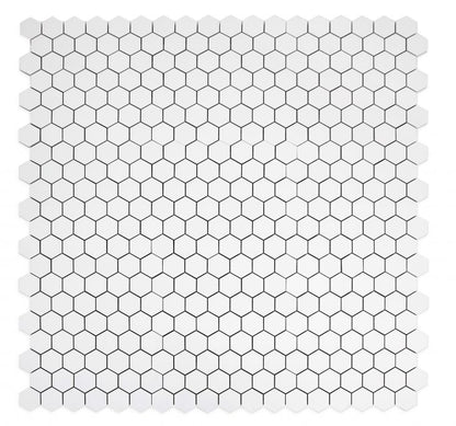 Malaysia Roy White Matte 2 x 2 Hexagon 12 x 12