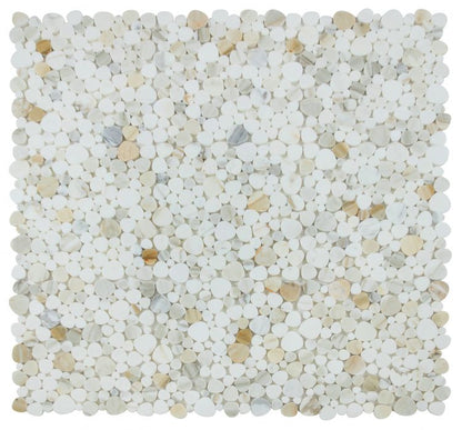 Aphrodite Calacatta Gold Polished 12 x 12