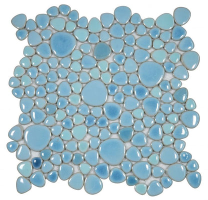 Growing Jewel Blue 11.5 x 11.5