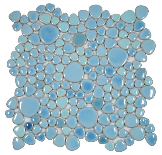 Growing Jewel Blue 11.5 x 11.5