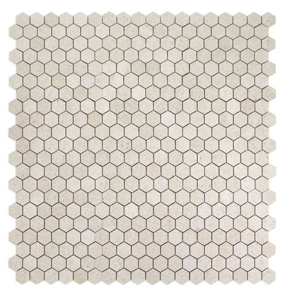 Grant Beige 2 x 2 Hexagon 12 x 12