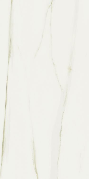 Classici Calacatta Gold Glossy 24 x 48