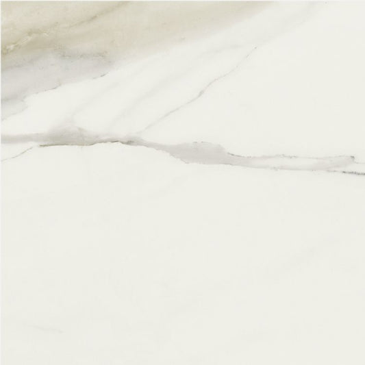 Classici Calacatta Gold Glossy 24 x 24
