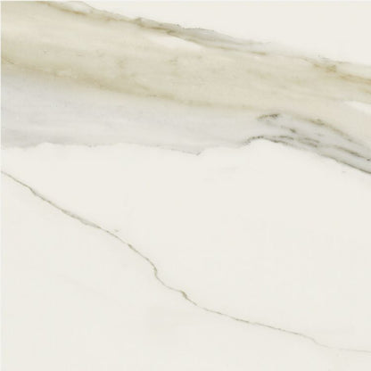 Classici Calacatta Gold Glossy 24 x 24