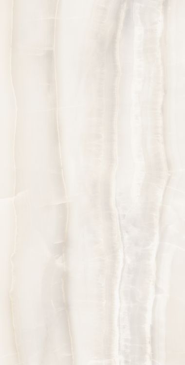 Akoya White Matte 24 x 48
