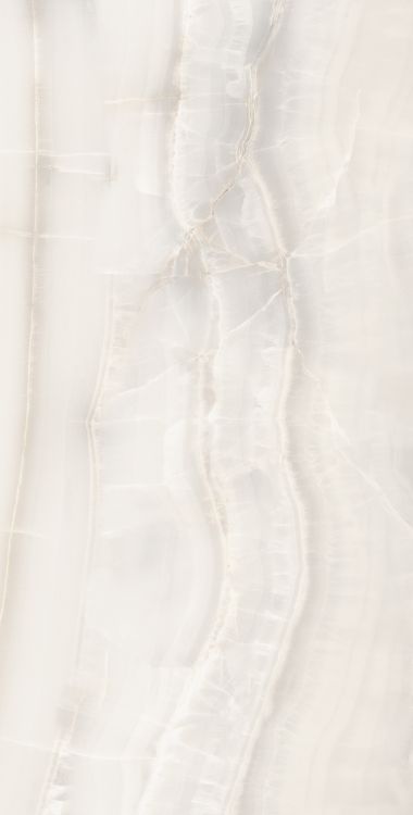 Akoya White Matte 24 x 48