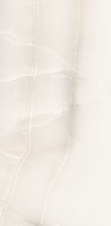 Akoya White Polished 12 x 24
