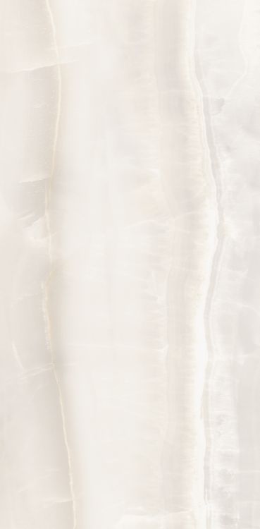 Akoya White Matte 12 x 24