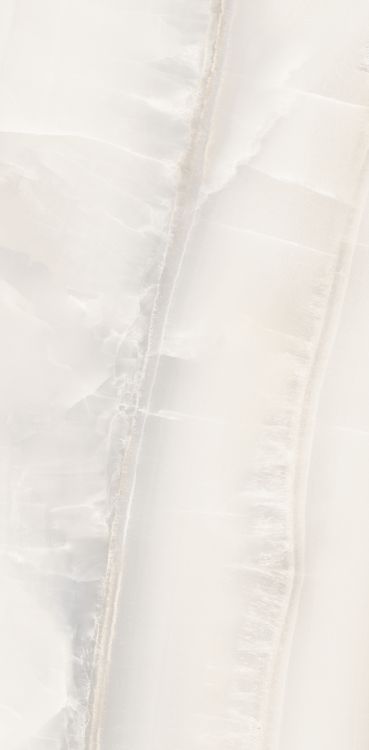 Akoya White Matte 12 x 24