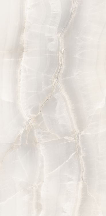 Akoya White Matte 12 x 24