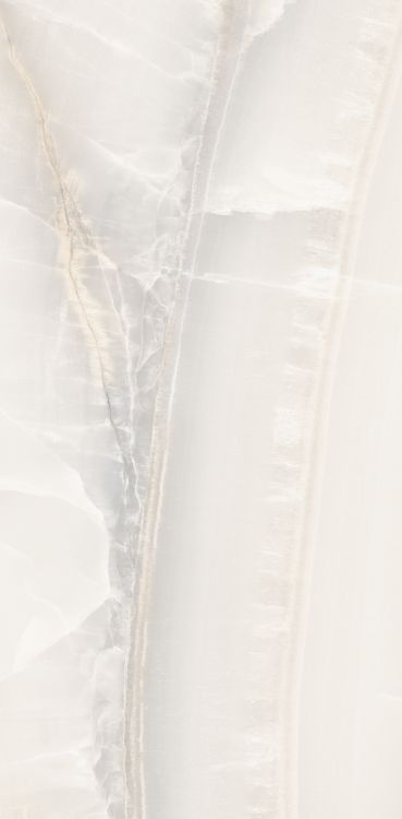 Akoya White Matte 12 x 24