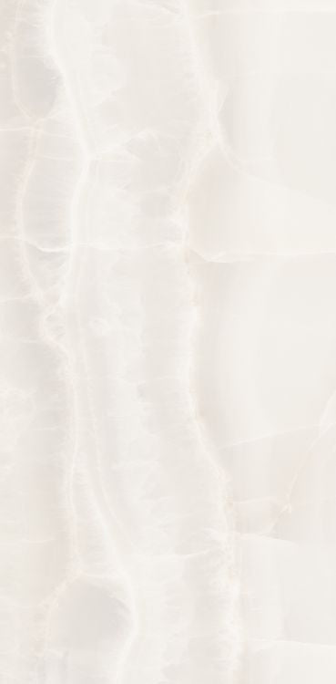 Akoya White Matte 12 x 24