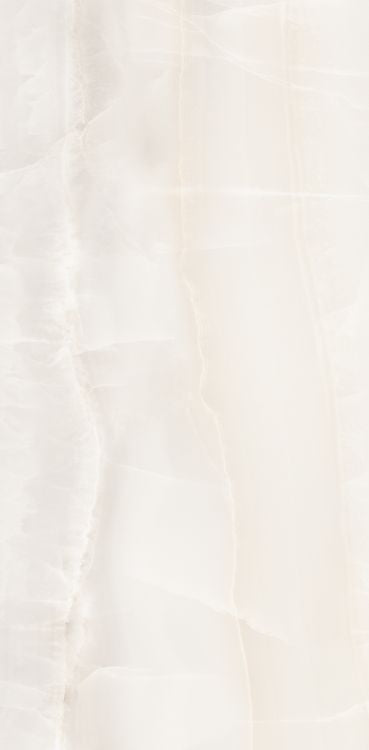 Akoya White Matte 12 x 24