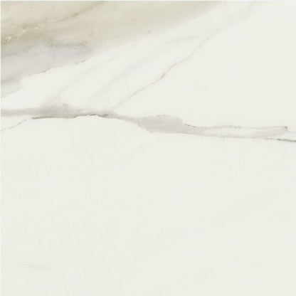 Classici Calacatta Gold Matte 24 x 24