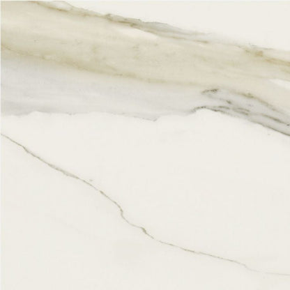 Classici Calacatta Gold Matte 24 x 24