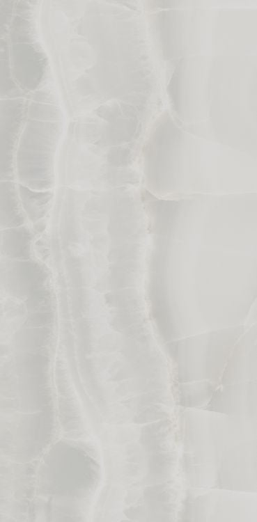 Akoya Silver Matte 12 x 24