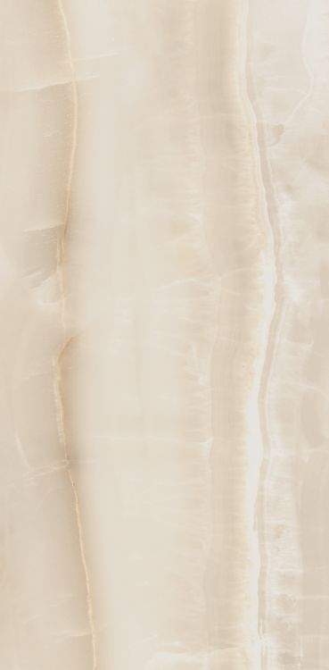 Akoya Ivory Matte 12 x 24