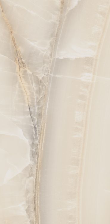 Akoya Ivory Matte 12 x 24