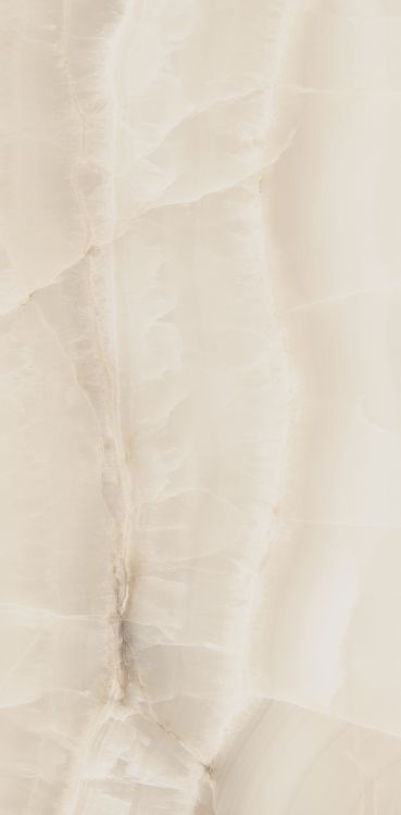 Akoya Ivory Matte 12 x 24