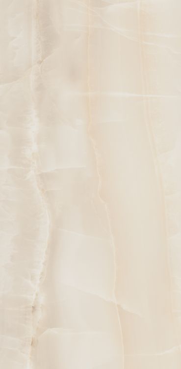 Akoya Ivory Matte 12 x 24