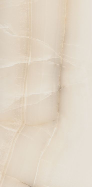 Akoya Ivory Matte 12 x 24