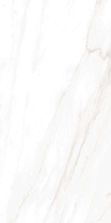 EC Calacatta Gold Polished 24 x 48