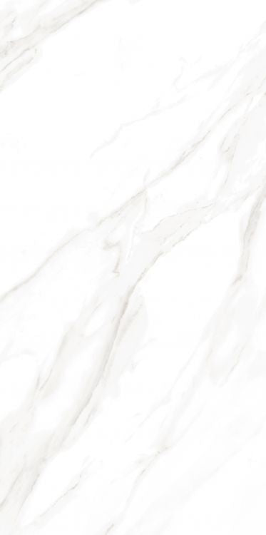 EC Calacatta Gold Matte 24 x 48