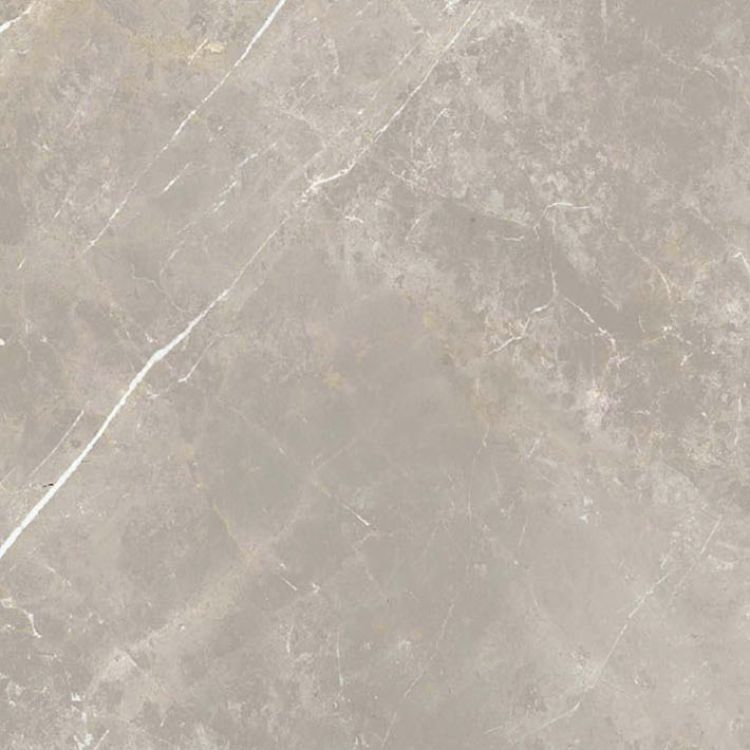 Dolomia Grey Nat 24 x 24
