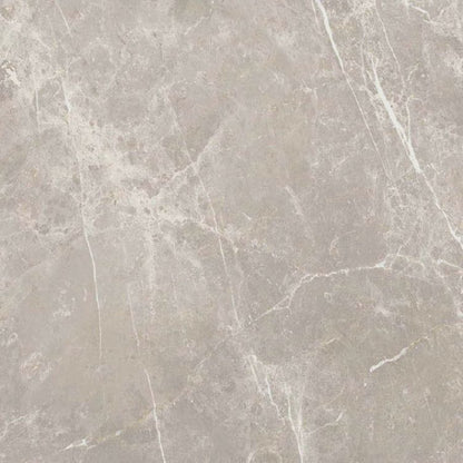 Dolomia Grey Nat 24 x 24