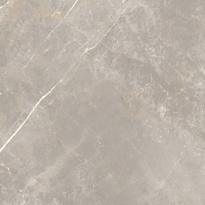 Dolomia Grey Nat 24 x 24