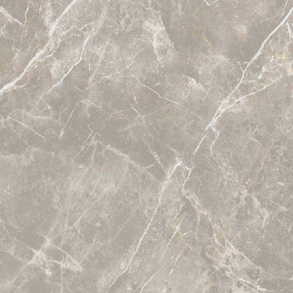 Dolomia Grey Luc 24 x 24