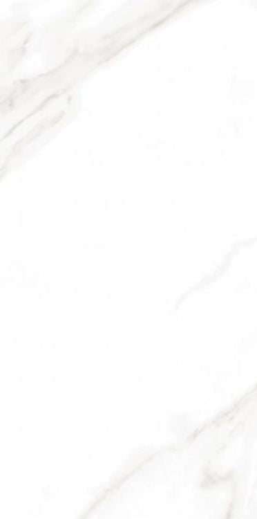 EC Calacatta Gold Matte 12 x 24