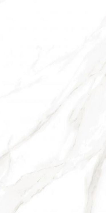 EC Calacatta Gold Matte 12 x 24