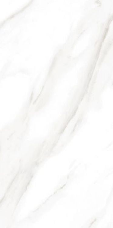 EC Calacatta Gold Matte 12 x 24