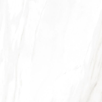 EC Calacatta Gold Polished 24 x 24