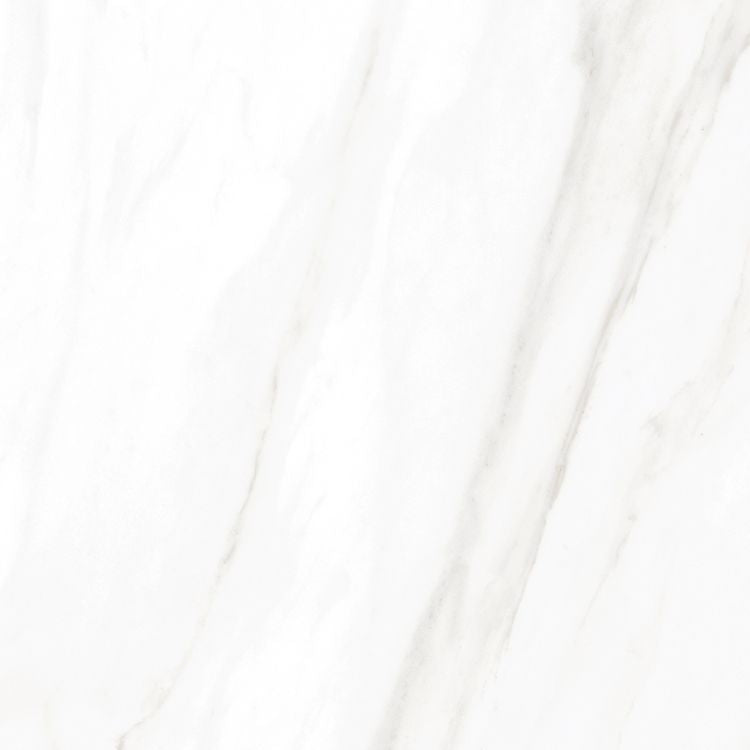 EC Calacatta Gold Polished 24 x 24
