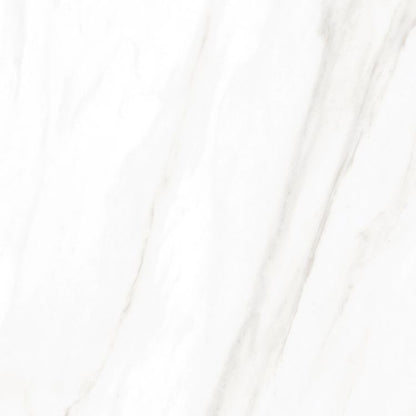 EC Calacatta Gold Polished 24 x 24