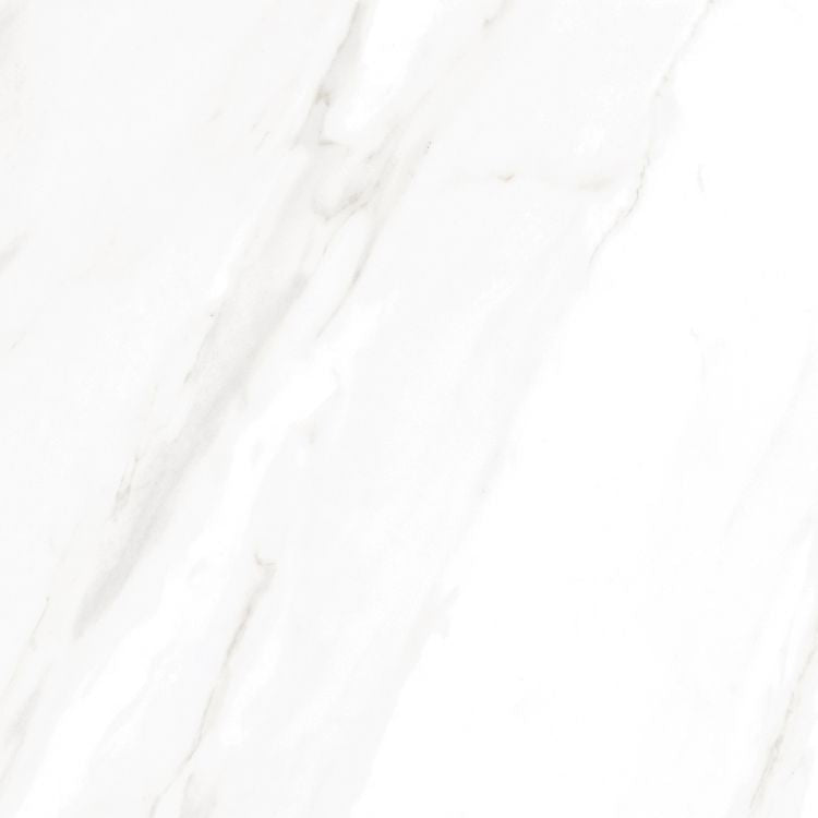 EC Calacatta Gold Polished 24 x 24