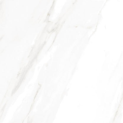 EC Calacatta Gold Polished 24 x 24