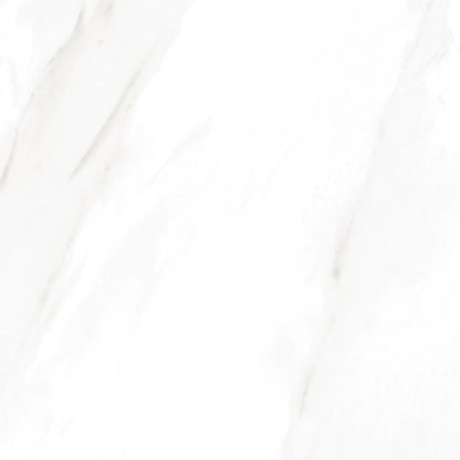 EC Calacatta Gold Polished 24 x 24