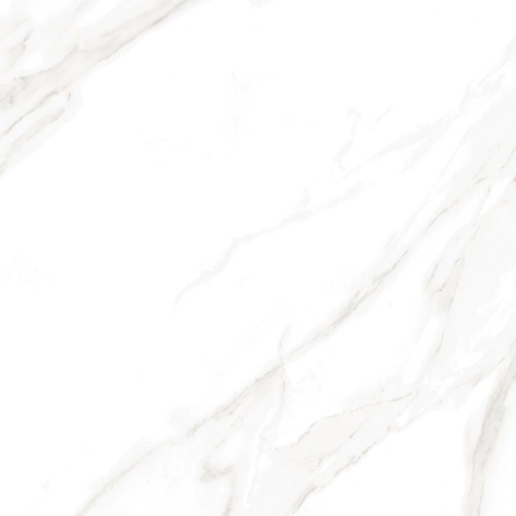EC Calacatta Gold Polished 24 x 24