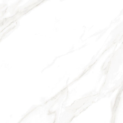 EC Calacatta Gold Polished 24 x 24