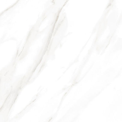 EC Calacatta Gold Polished 24 x 24